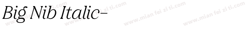 Big Nib Italic字体转换